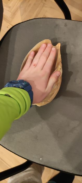 Prawdziwe muszle wyłowione w chorwacji