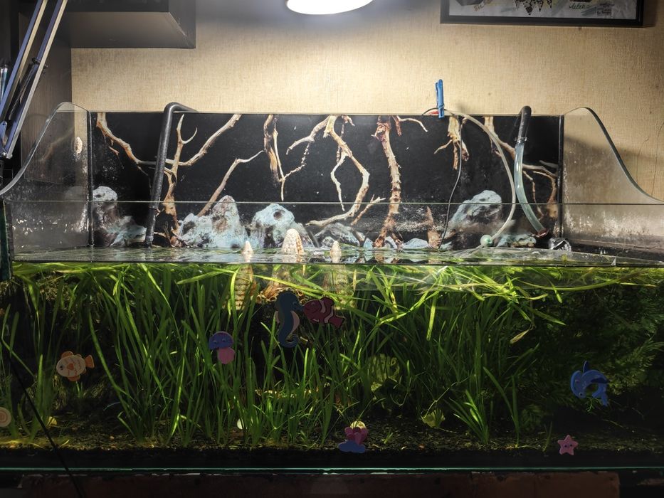 Акваріум-тераріум на 300 літрів