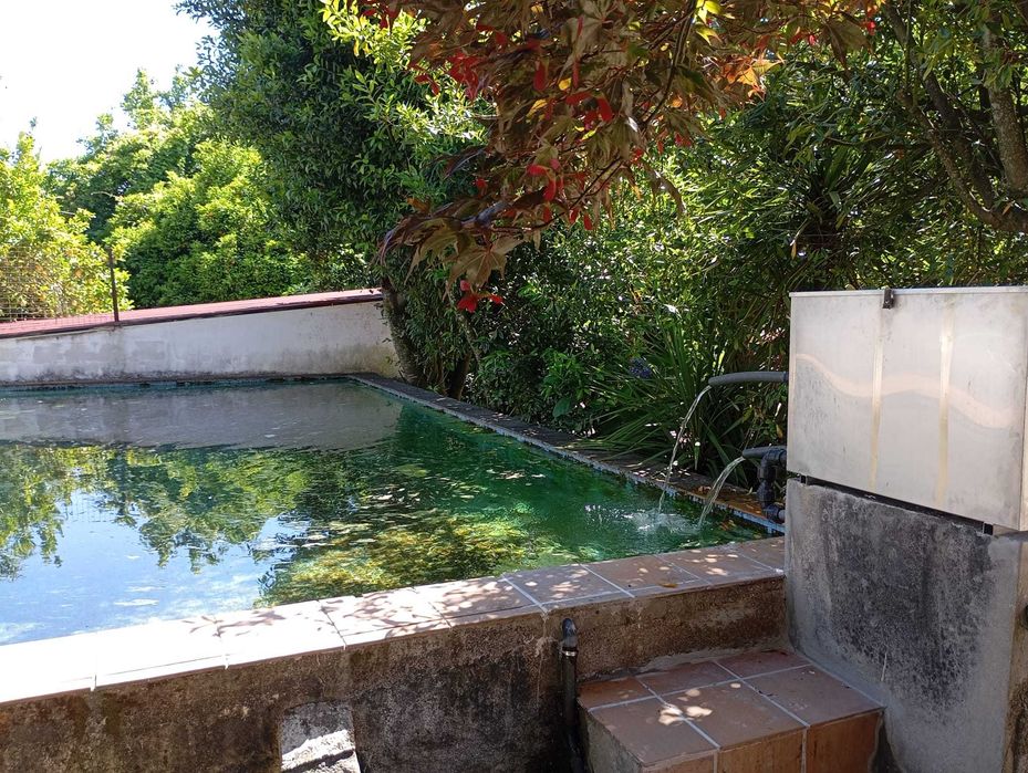 Quintinha com 2 casas, piscina e 3.000m² – mais de 40 árvores de fruto | ideal para viver ou investir (AL/Airbnb)