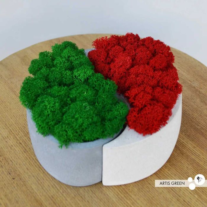 Знижка 50% Подарунок з яскравим мохом інь-янь