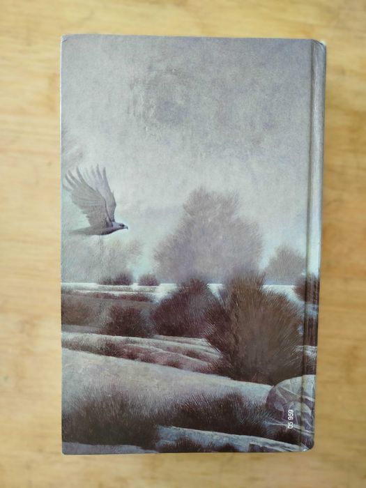 Senhora de Avalon
de Marion Zimmer Bradley