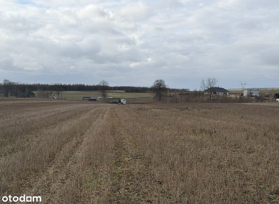 Teren inwestycyjny 3,87 ha ( pozwolenie na budowę, MPZP ) - Widok 5