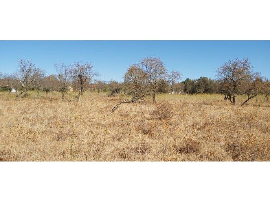 Terreno rústico, em zona agrícola, Curral da Pedra, Paderne, Albufe... — Paderne, Faro