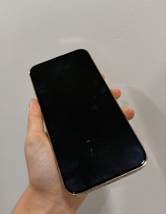 Iphone 13pro max
