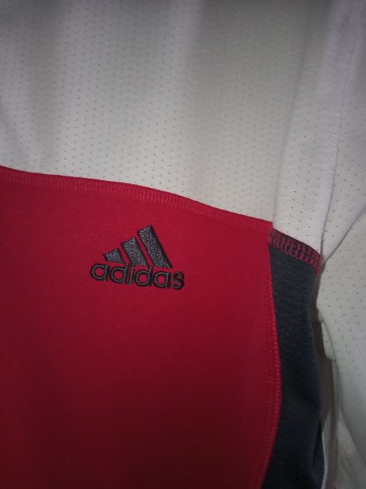 Koszulka męska polo Adidas