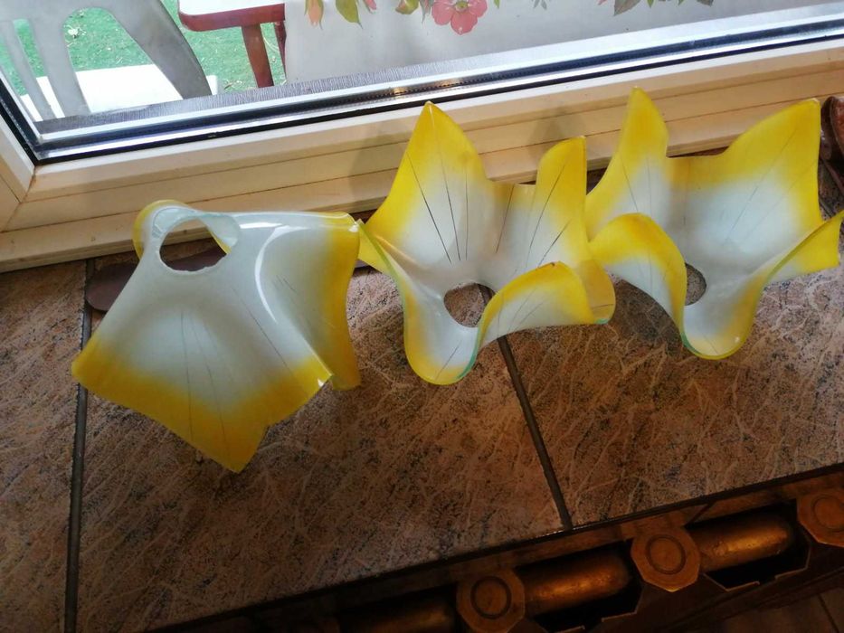 Klosze szklane vintage