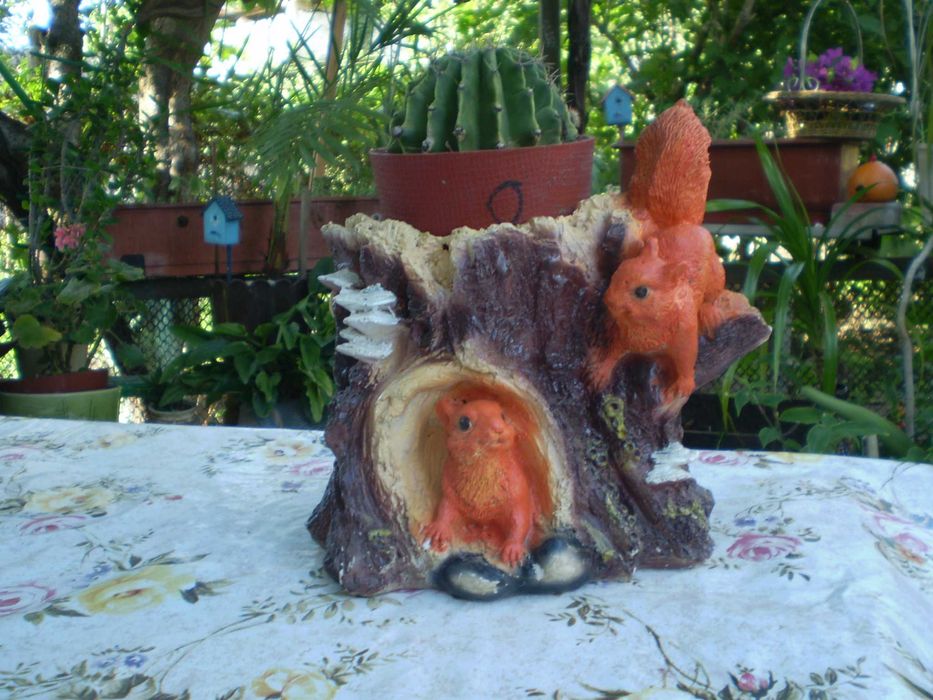 Продам комнатные растения