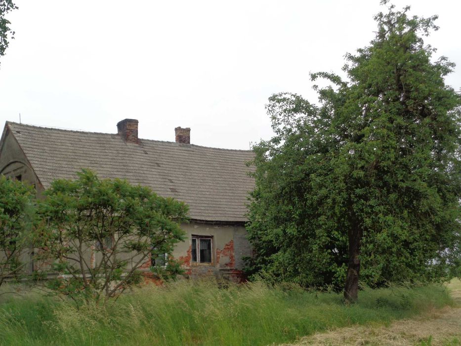 Dom – Krzeszyce - Widok 5