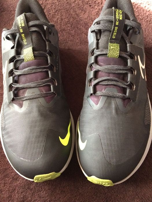 Nike Pegasus 39 Shield