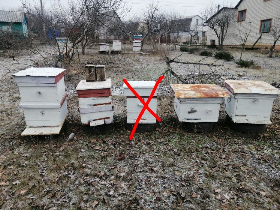 Ульи улей для пчёл б/у