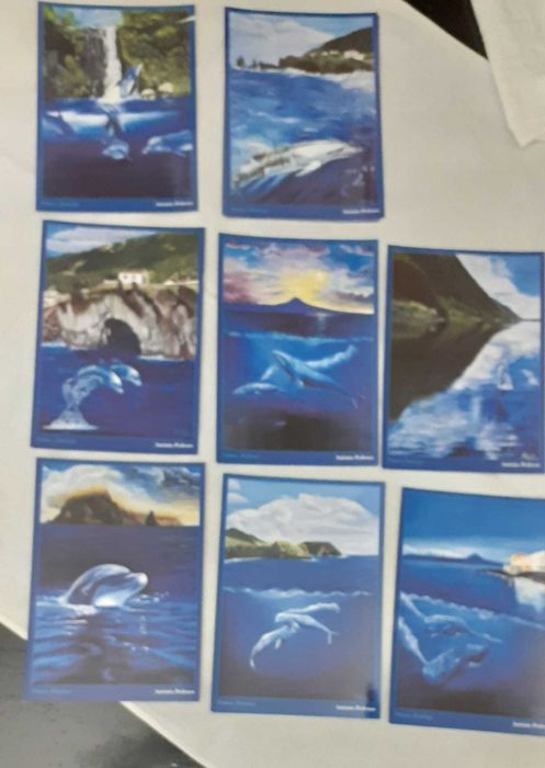Liv2- Pack com 8 postais de golfinhos da autoria de António Pedroso