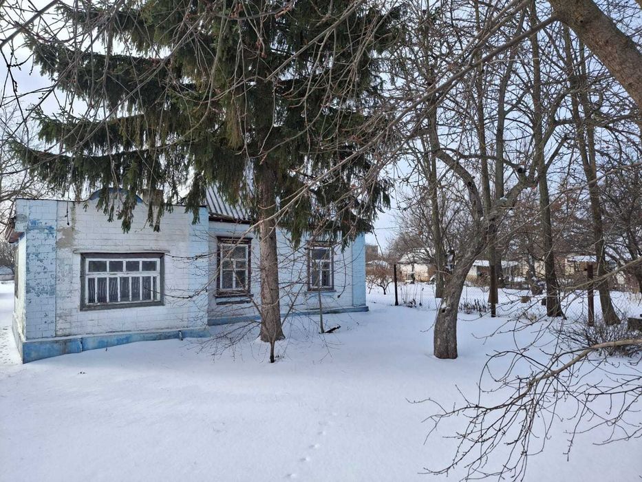 Будинок у мальовничому селі