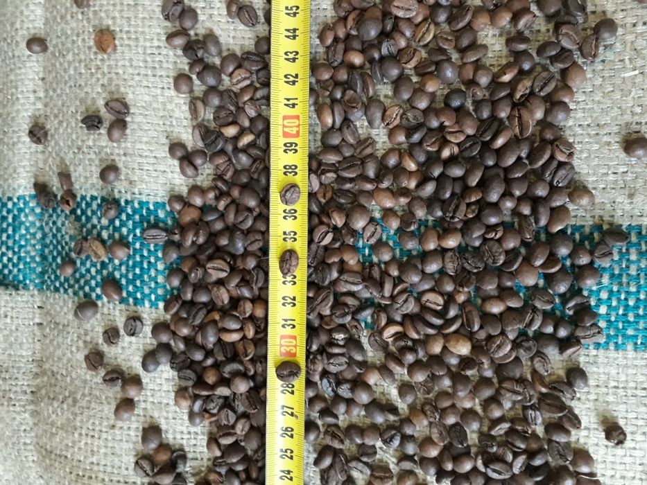 Кава / Кофе в зернах В'єтнам WP 18 scr.