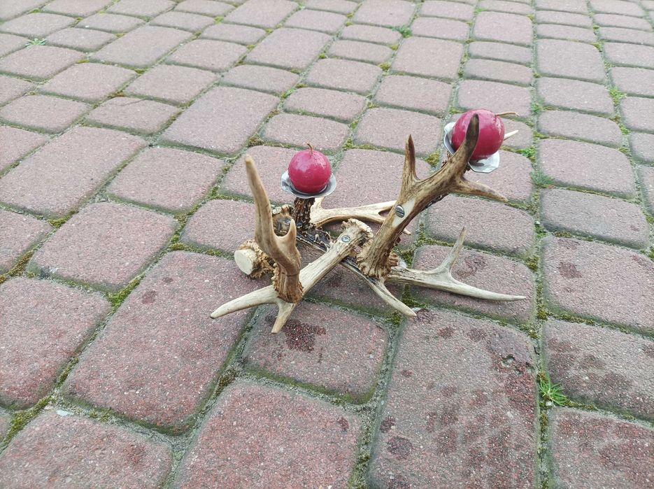 Świecznik z Poroży Rogów