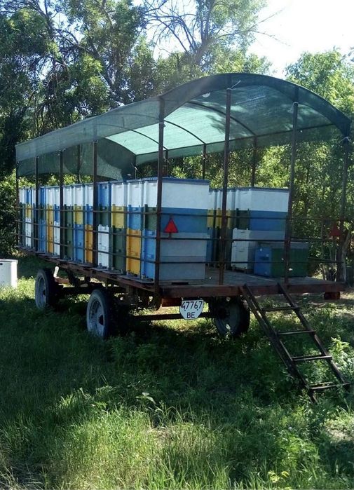 Прицеп-платформа для перевозки пчел 1100$