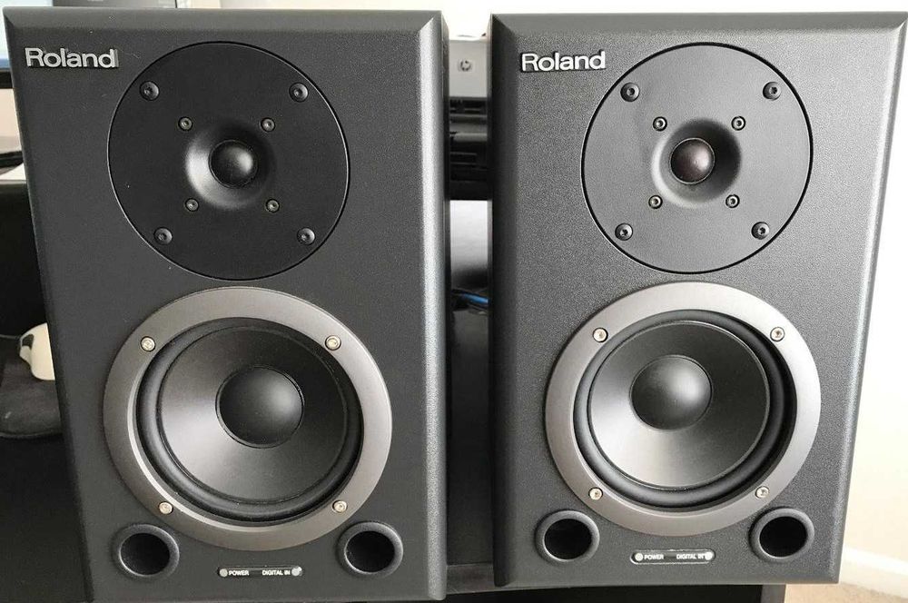 Monitores estudio amplificados Roland DS-90A
