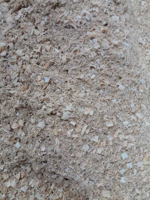 Fitas de madeira e Serrim