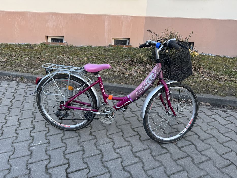 Rower miejski Arkus Panda City Lux 24"
