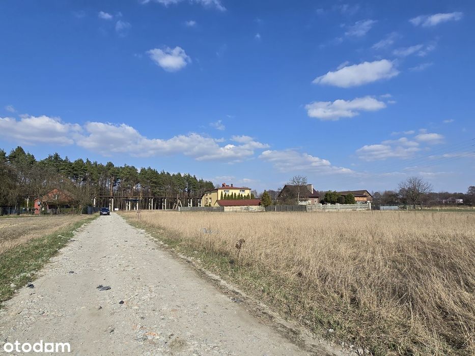 Orzesze Gardawice ostanie 4 działki