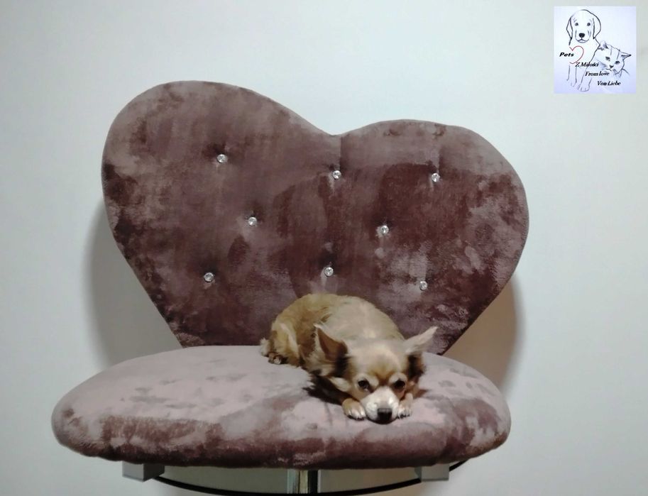 Elegancka i wygodna sofa- legowisko dla psa lub kota