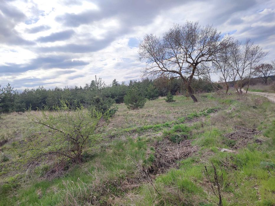 Земельна ділянка с. Лозівок