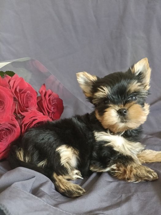 Неймовірно крутезний хлопчик