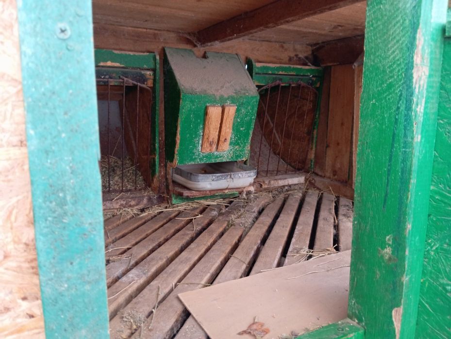 Клітка для кролів, кролятник