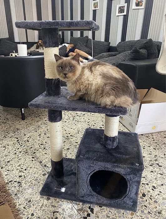 Arranhadores (árvores) para gatos - oferta dos portes!