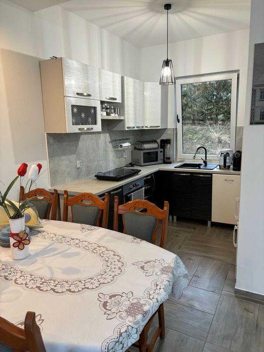 wynajem domku nad jeziorem z plażą i pomostem