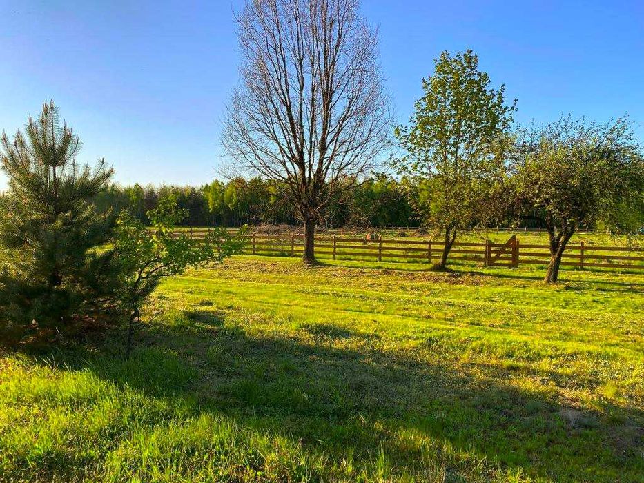 Działka rekreacyjno-budowlana, 1000 m2, Puszcza Stromiecka