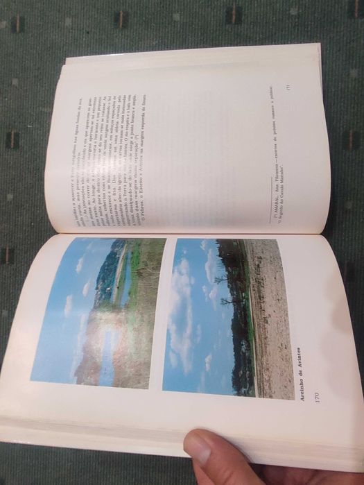 Avintes Na margem esquerda do Douro - Ana Filomena Leite Amaral