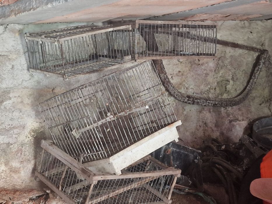 Gaiolas para pássaros de pequeno porte