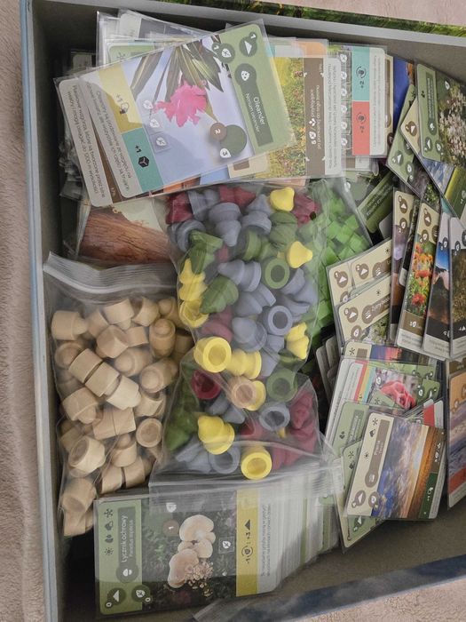 Ziemia (Earth) + dodatek Pogoda + elementy Lucky Duck Exclusive