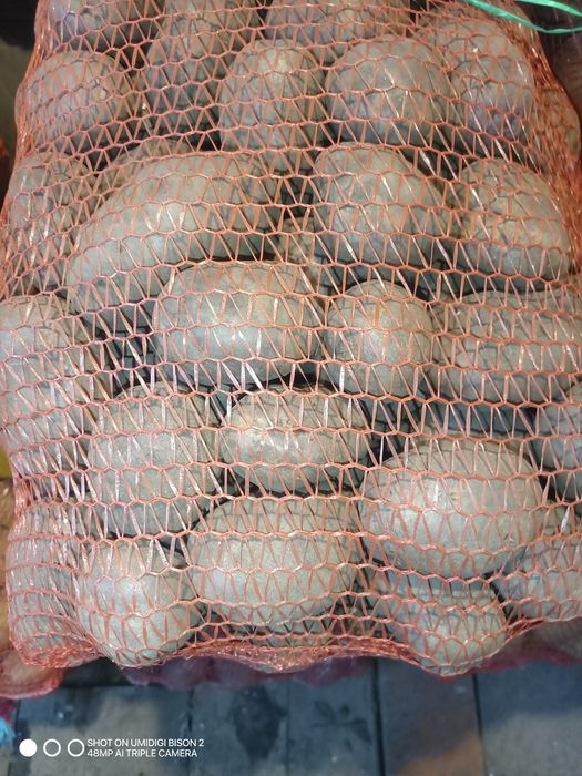 Картопля по Місту Суми