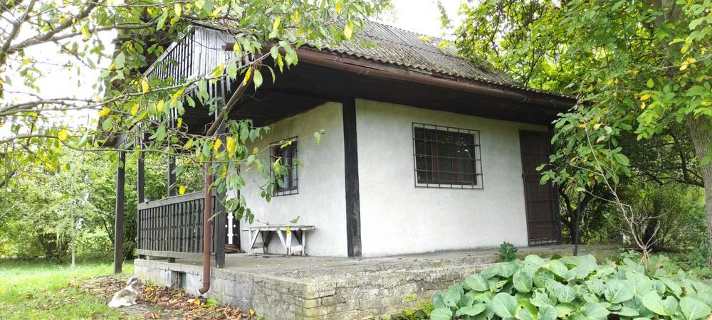 Sprzedam działkę ROD w Działoszynie z domkiem - Widok 4