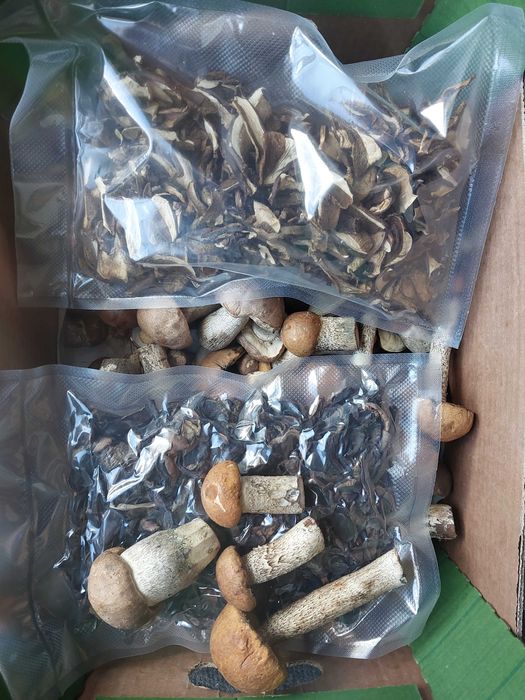 Grzyby tegoroczne suszone