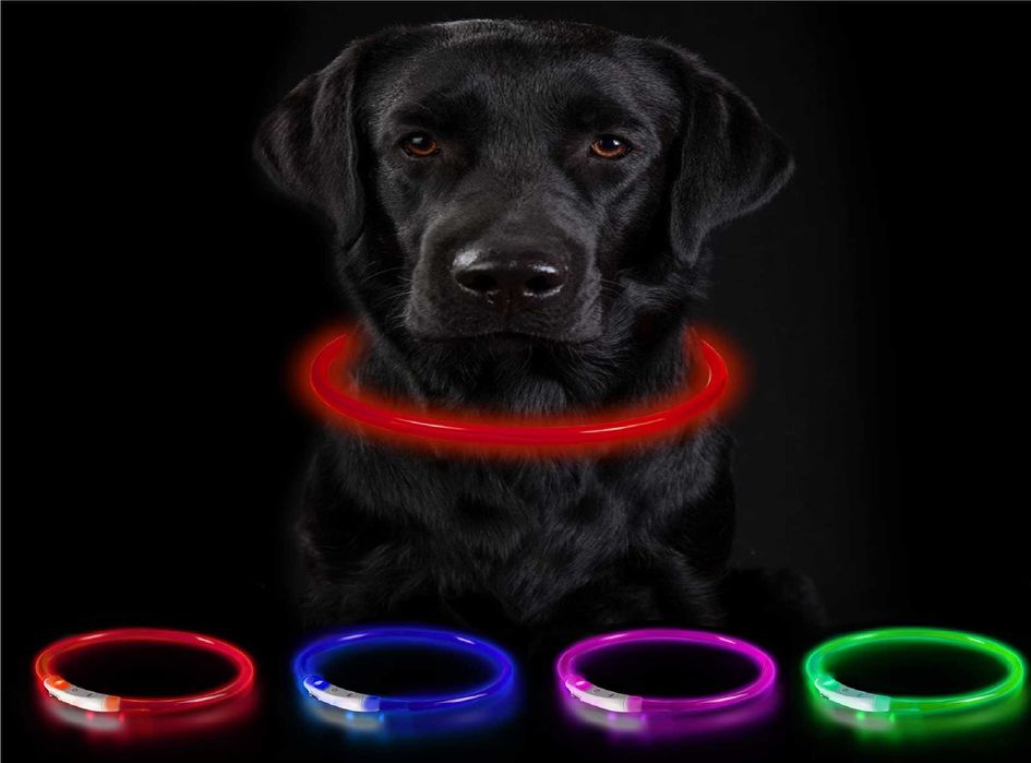 Nowa obroża dla psa/lekka/świecąca/obroża LED/z kablem USB//!4346-CZ!