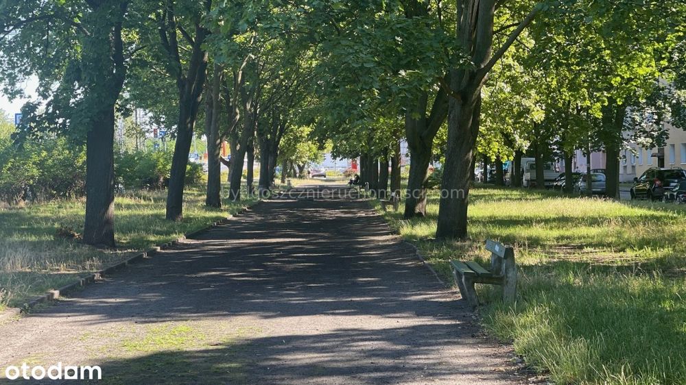 Na sprzedaż M3, Osiedle Leśne