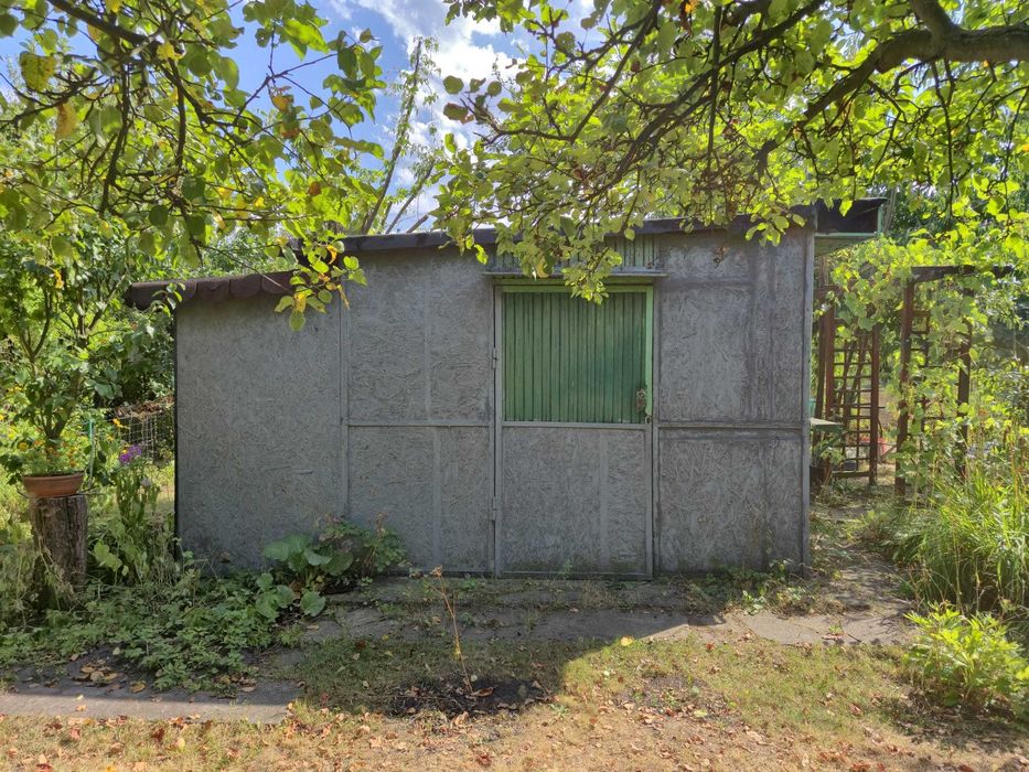 Ogródek działkowy ROD Jedność 300 m² - Widok 4