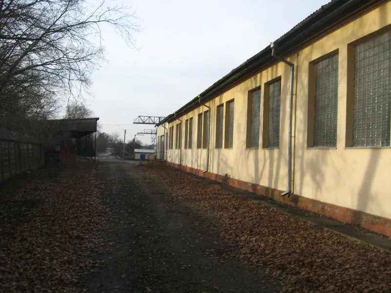 Комплекс переробки деревини, 1726 кв. м, вул. Миколи Микитюка, 103