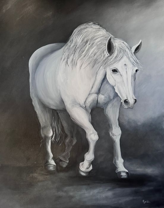 Obraz White Horse