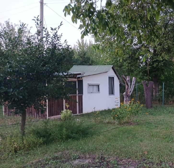 Фото ділянки