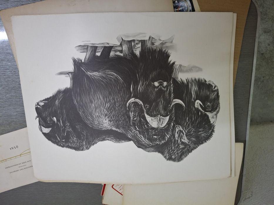 Grande desenho assinado pintura