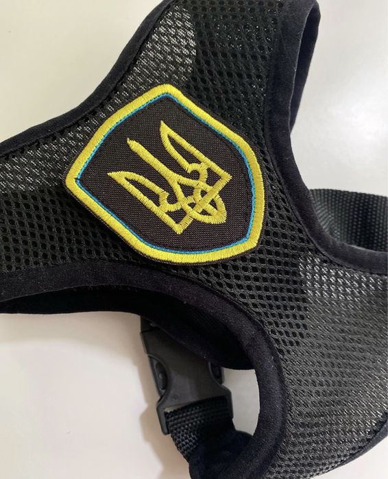 Шлея на собаку кота