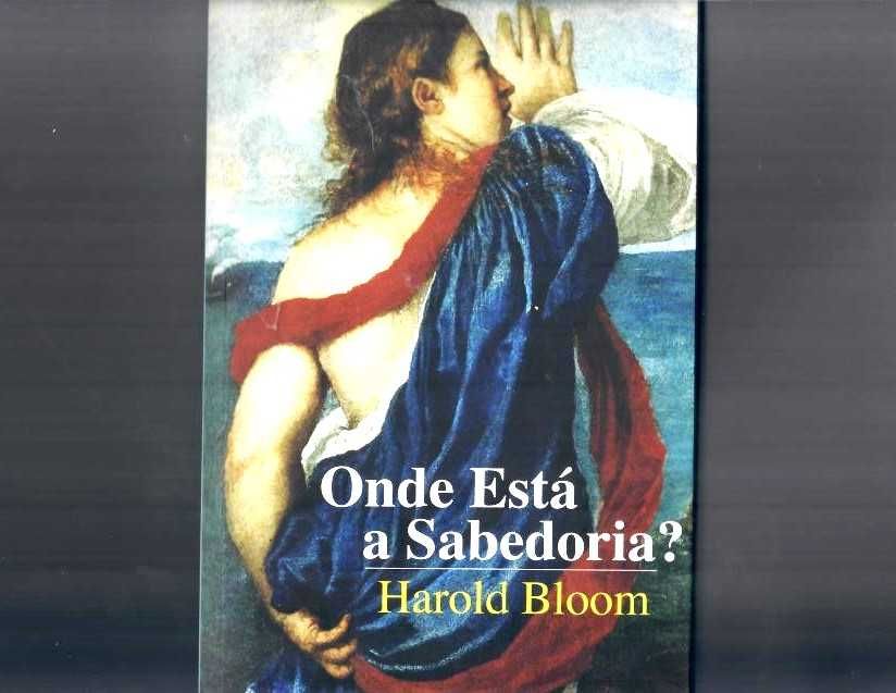 HAROLD BLOOM «Onde Está a Sabedoria?» H.B. eleva a crítica a nível da Literatura
