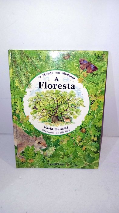 A Forest - A World in Change