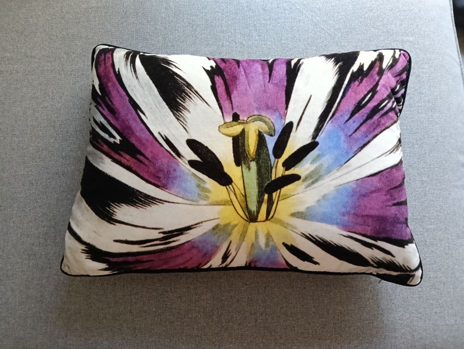 Almofada Christian Lacroix
