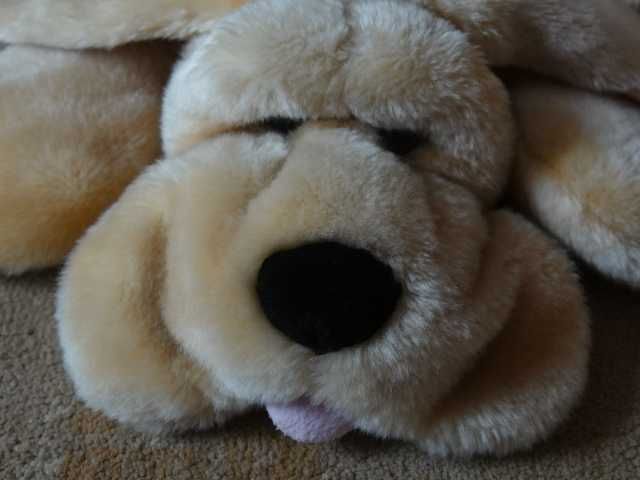 Duże , pluszowe maskotki dla dziecka .