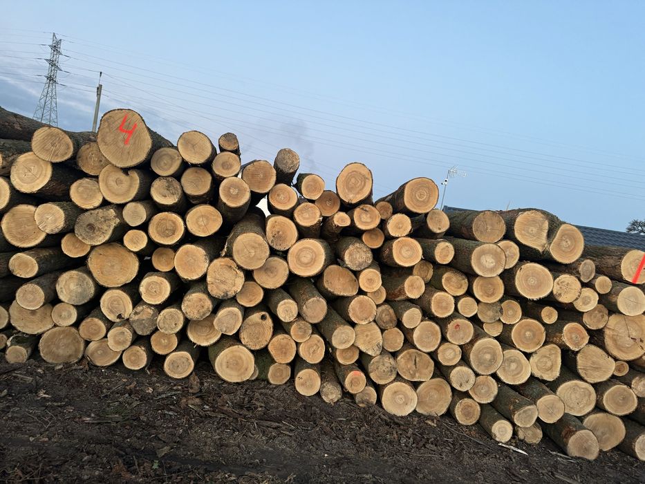 Drewno opałowe kominkowe  S2A s2aAP WDP - papierówka ,kłoda