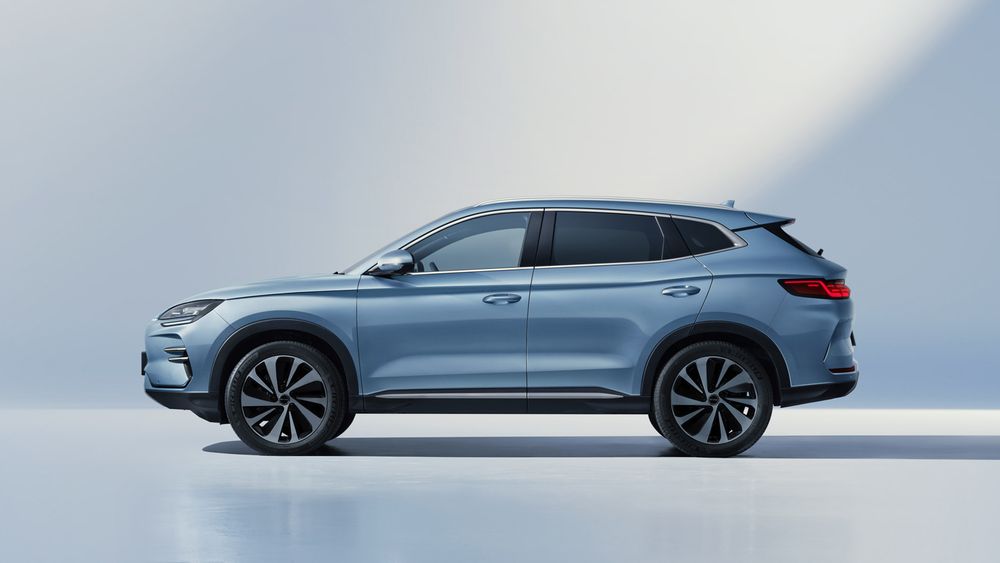 Zdjęcie w galerii numer 6